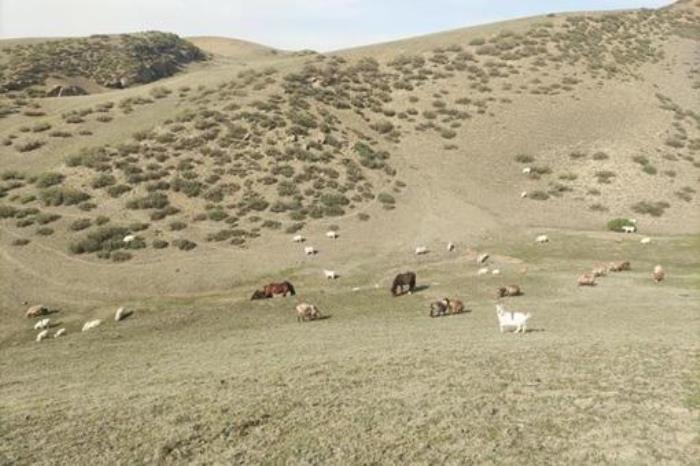 石人子沟鸟巢阵景区旅游攻略 附具体地址和景区项目 石人子沟鸟巢阵景区旅游攻略 附具体地址和景区项目