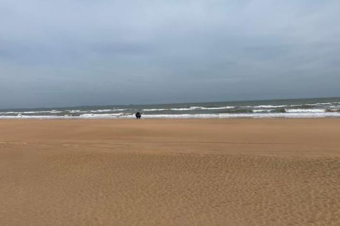 日照海滨国家森林公园开放时间 日照海滨国家森林公园开放时间