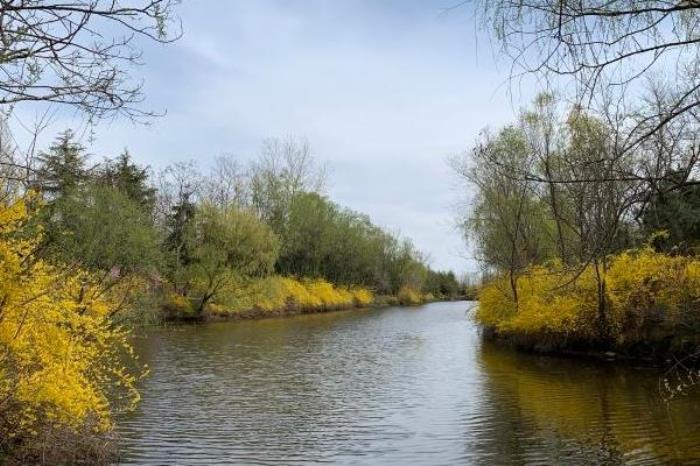 日照海滨国家森林公园开放时间 日照海滨国家森林公园开放时间