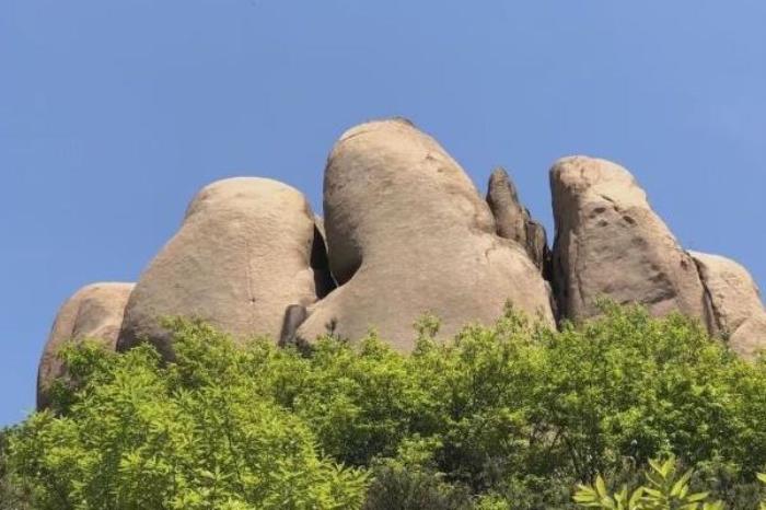 日照海滨国家森林公园附近景点有哪些 日照海滨国家森林公园附近景点有哪些