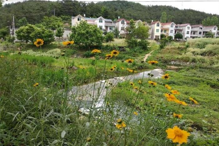 燕儿谷景区要门票吗?门票多少钱? 燕儿谷景区要门票吗?门票多少钱?