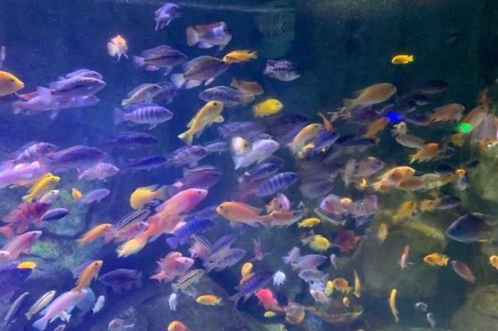 泉城海洋极地世界在哪个位置 泉城海洋极地世界在哪个位置