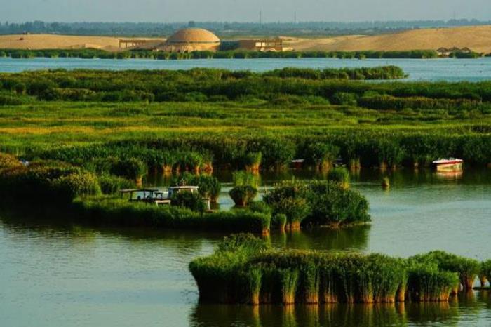 宁夏沙湖旅游景点介绍 宁夏沙湖旅游景点介绍