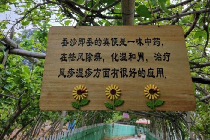 光明农场大观园游玩攻略2022 光明农场大观园游玩攻略2022