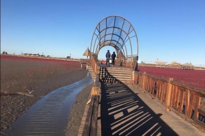 沈阳盘锦红海滩一日游攻略