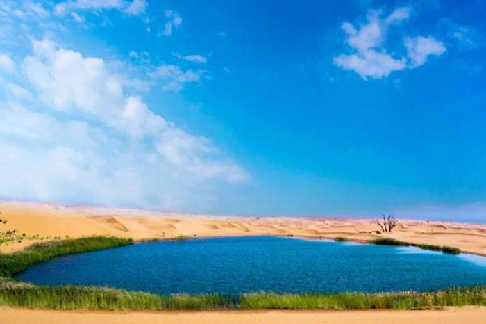 沙坡头旅游景区旅游攻略 沙坡头旅游景区旅游攻略