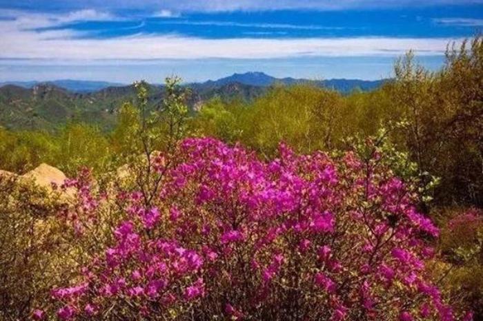 北京周边五一旅游推荐 北京周边五一旅游推荐
