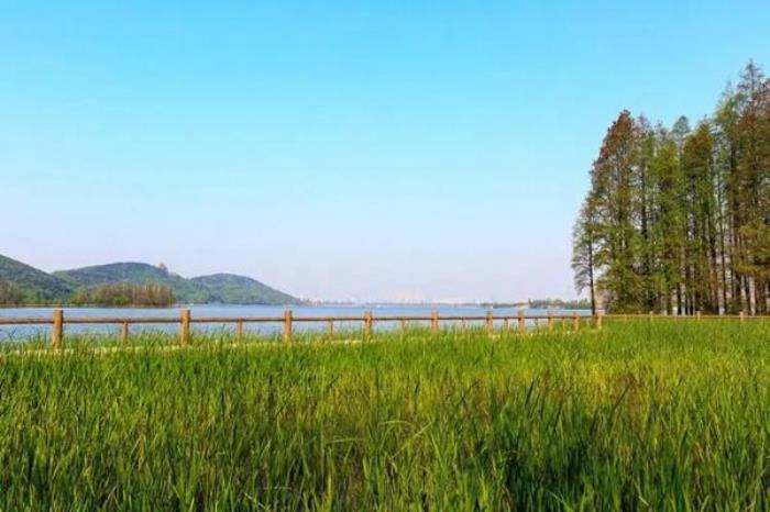 东湖落雁岛游玩攻略 交通、门票、怎么玩等信息都在这了 东湖落雁岛游玩攻略 交通、门票、怎么玩等信息都在这了