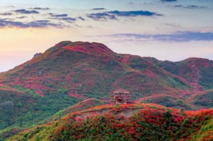 长沙周边一日游最值得一去的地方 长沙周边一日游最值得一去的地方