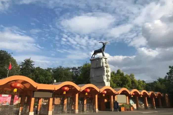 成都动物园一日游攻略 成都动物园一日游攻略