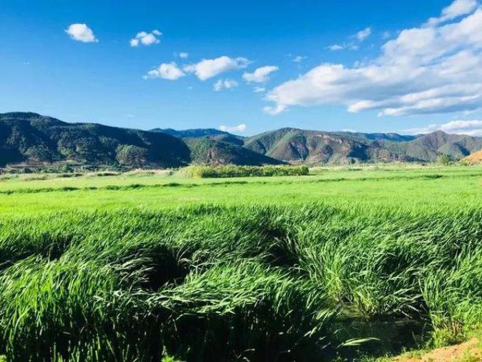 云南不可不去的地方 泸沽湖旅游攻略之保姆级指南