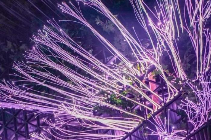 东湖魔兽城堡夜游攻略 附夜游玩法