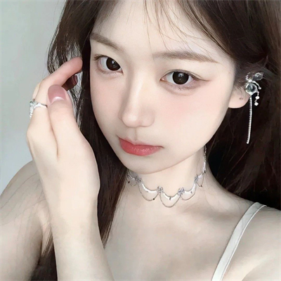 深圳旅游私人导游商网红骆映红