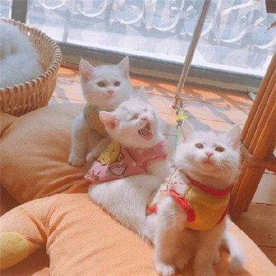 贵阳商务旅游陪游经纪人钟离婷忆 贵阳商务旅游陪游经纪人钟离婷忆