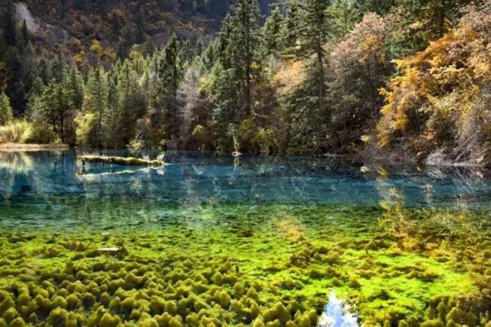 九寨沟旅游几月份最佳时间 九寨沟旅游几月份最佳时间