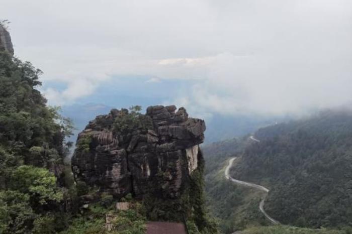 梦幻奥陶纪主题公园有哪些项目 梦幻奥陶纪主题公园有哪些项目