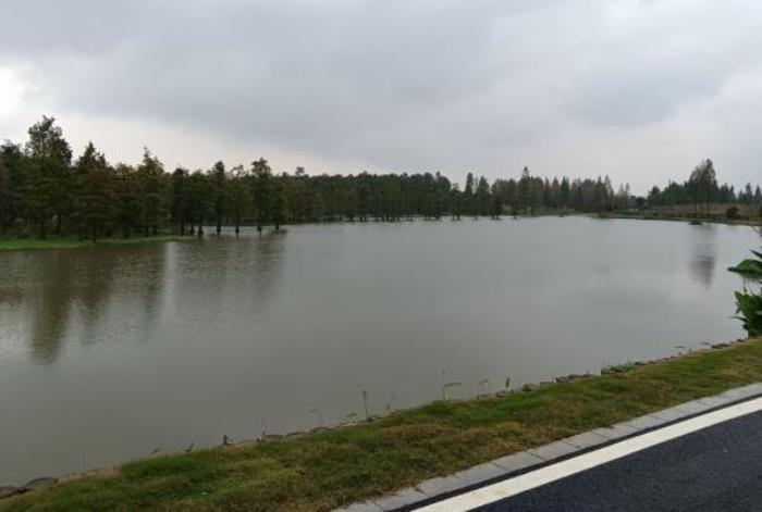 上海青西郊野公园可以烧烤吗 上海青西郊野公园可以烧烤吗