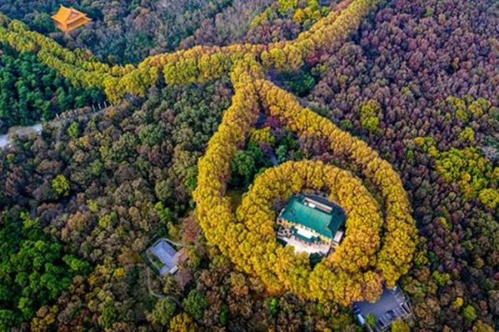 南京美龄宫在哪里 南京美龄宫在哪里