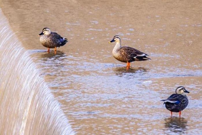 渭南春季有哪些好玩的地方推荐 渭南春季有哪些好玩的地方推荐