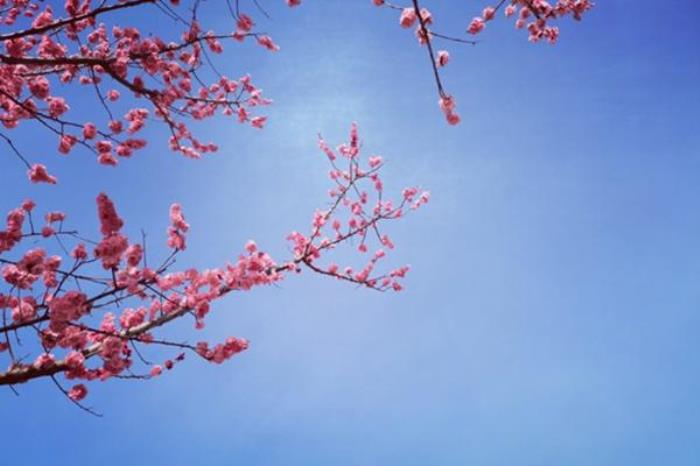 渭南春季有哪些好玩的地方推荐 渭南春季有哪些好玩的地方推荐