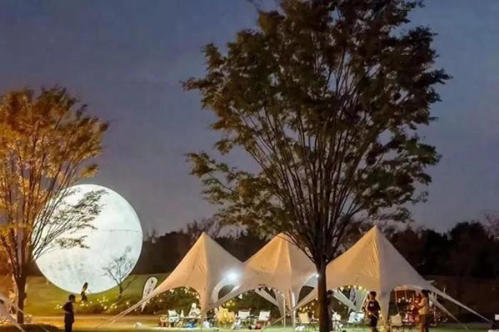 上海有哪些好玩的露营地方推荐