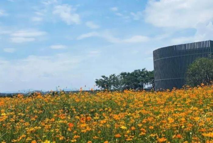 宁波适合孩子玩的公园有哪些 宁波适合孩子玩的公园有哪些