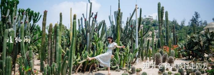 厦门自助旅游最美的8个旅游景点推荐,你去过几个? 厦门自助旅游最美的8个旅游景点推荐,你去过几个?