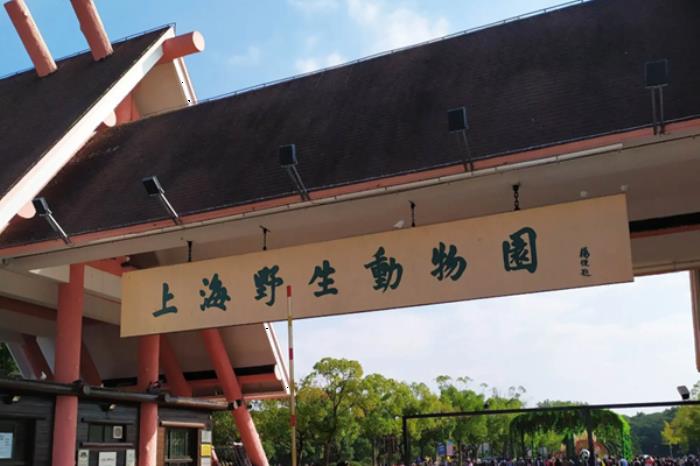 上海地铁12号线沿线有哪些值得打卡的地方 上海地铁12号线沿线有哪些值得打卡的地方