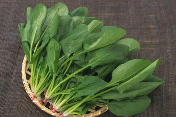 陕西春季都有哪些好吃的野菜 陕西春季都有哪些好吃的野菜