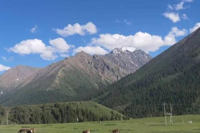 那拉提草原在新疆什么地方 那拉提草原在新疆什么地方