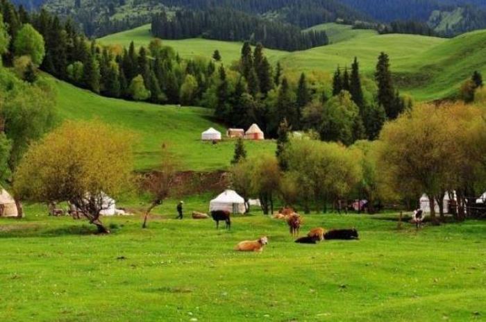 那拉提草原在新疆什么地方 那拉提草原在新疆什么地方