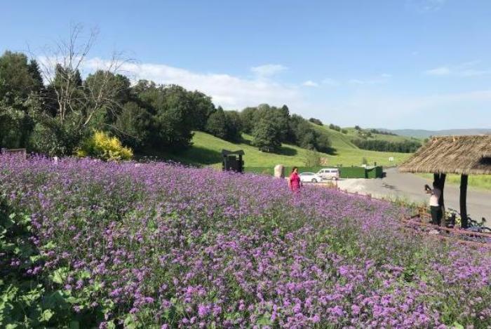 那拉提草原在新疆什么地方 那拉提草原在新疆什么地方