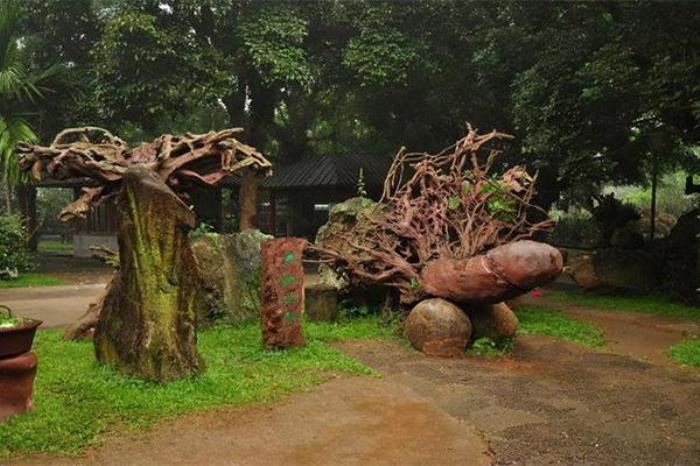 海口火山口公园怎么去最方便 海口火山口公园怎么去最方便