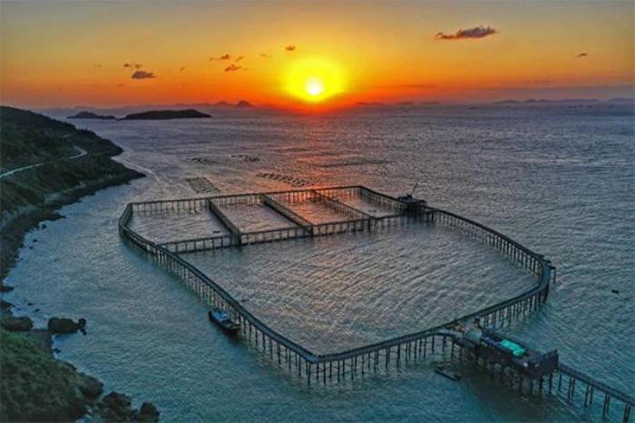 台州大陈岛要坐船去吗 台州大陈岛要坐船去吗