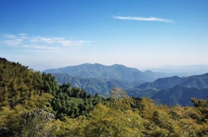 杭州茶都十景是哪十景