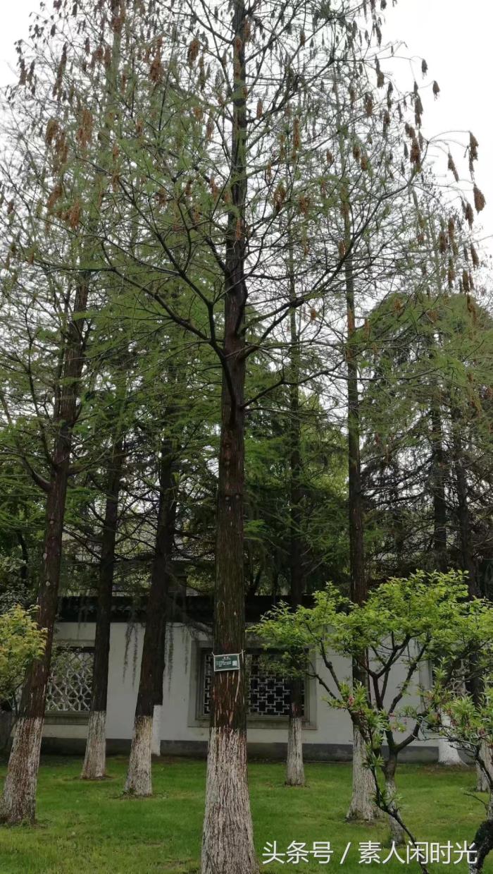 私人导游找了我，一人30元，第三天去！