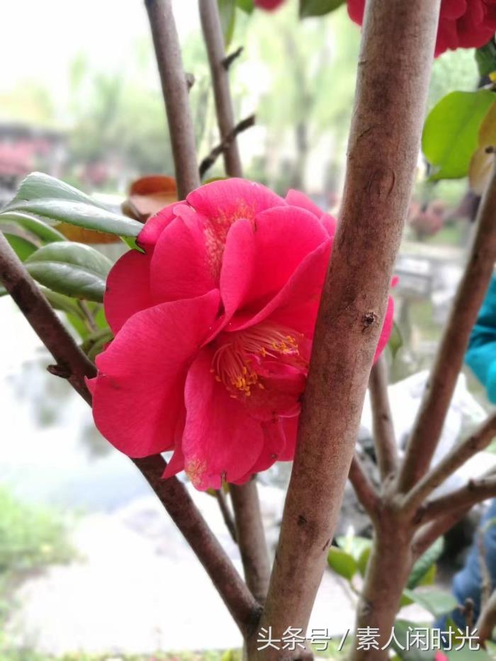 私人导游找了我，一人30元，第三天去！