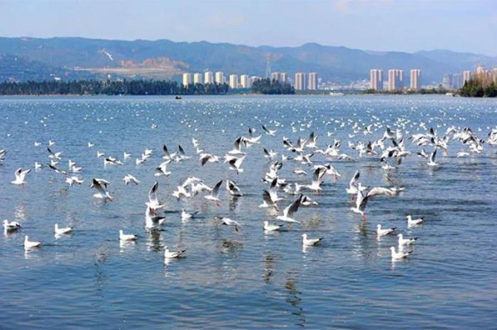 昆明滇池要门票吗 昆明滇池要门票吗