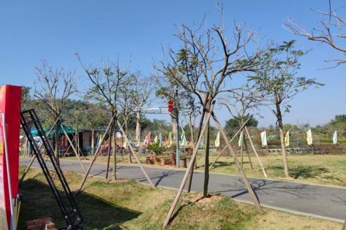 岭南大地百草园有什么好玩的 岭南大地百草园有什么好玩的