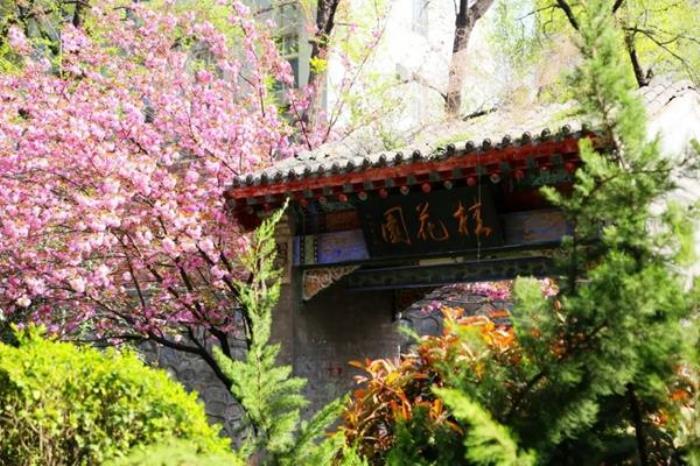 灞桥有哪些适合春季赏花游玩的地方 灞桥有哪些适合春季赏花游玩的地方