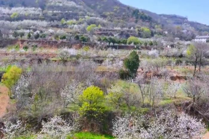 灞桥有哪些适合春季赏花游玩的地方 灞桥有哪些适合春季赏花游玩的地方