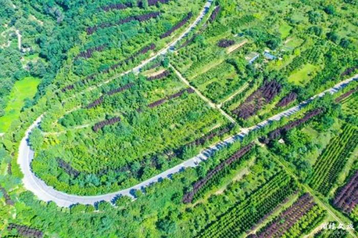 灞桥有哪些适合春季赏花游玩的地方 灞桥有哪些适合春季赏花游玩的地方