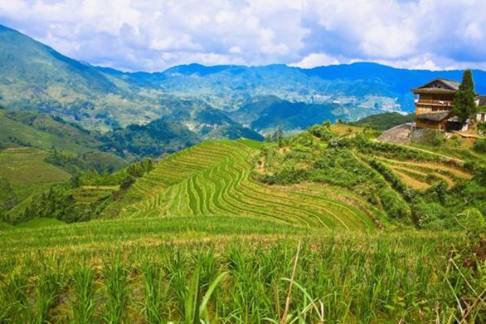 桂林龙脊梯田什么时候最美 桂林龙脊梯田什么时候最美