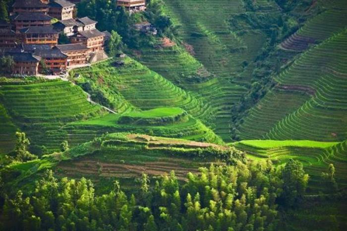 桂林龙脊梯田什么时候最美 桂林龙脊梯田什么时候最美