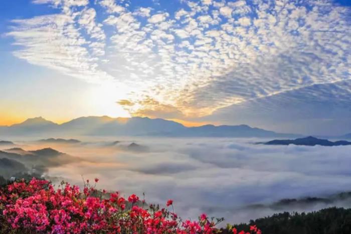 安徽天堂寨杜鹃花和麻城龟峰山哪个好看