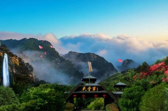 安徽天堂寨杜鹃花和麻城龟峰山哪个好看 安徽天堂寨杜鹃花和麻城龟峰山哪个好看