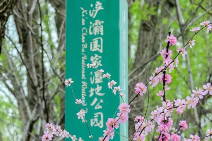 陕西有哪些适合春季打卡游玩的公园推荐