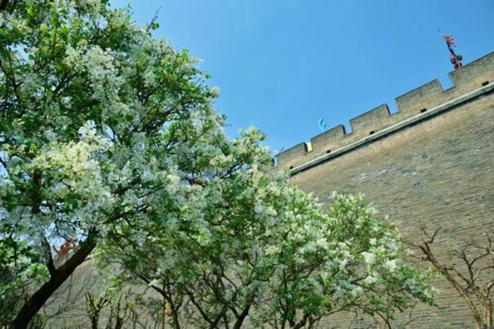 陕西有哪些适合春季打卡游玩的公园推荐 陕西有哪些适合春季打卡游玩的公园推荐