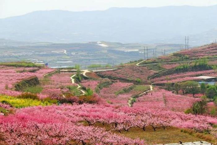 天水秦安春季有哪些旅游线路推荐 天水秦安春季有哪些旅游线路推荐