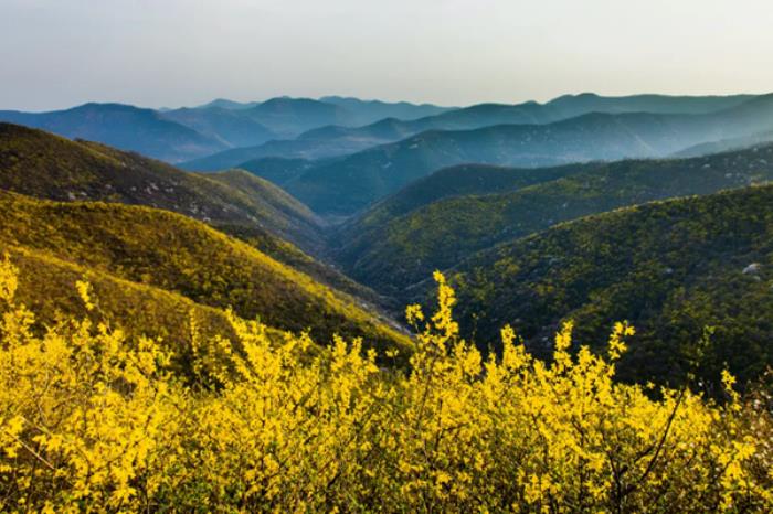 陕西铜川有哪些踏青春游的地方推荐 陕西铜川有哪些踏青春游的地方推荐